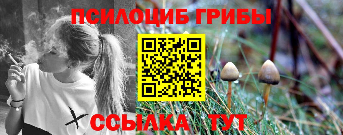 где продают наркотики  Псилоцибиновые грибы MAGIC MUSHROOMS  Вход с VPN  Домодедово 